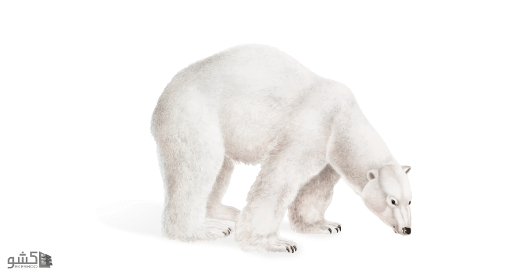 پرسشنامه مقیاس سرکوب خرس سفید وگنر و زاناکاس